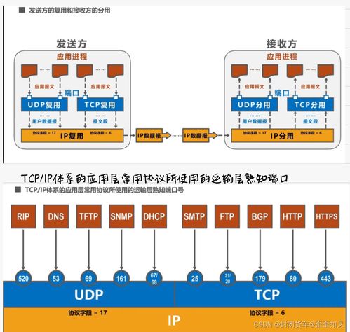 计算机网络期末复习 笔记版 第五弹 运输层