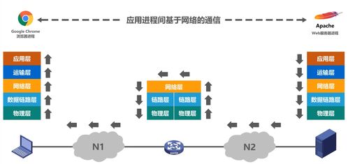 计算机网络